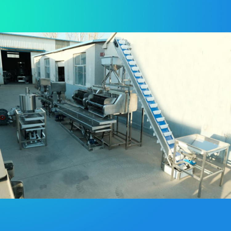 Cashew Shelling Production Line