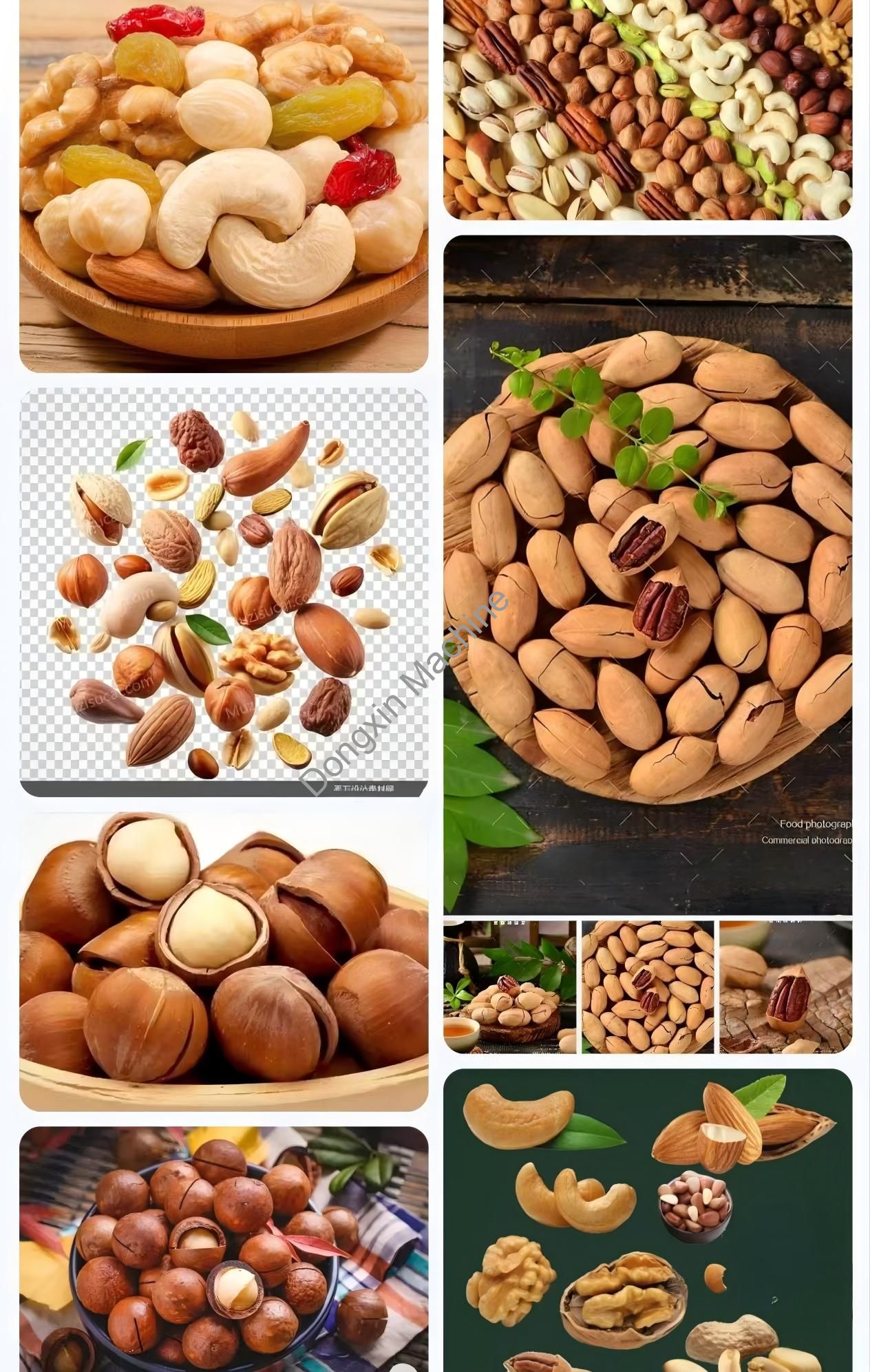 Multi functional continuous baking line