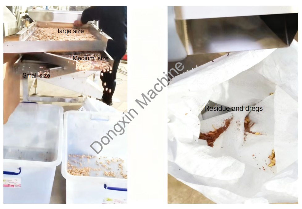 Pistachio classifying machine test