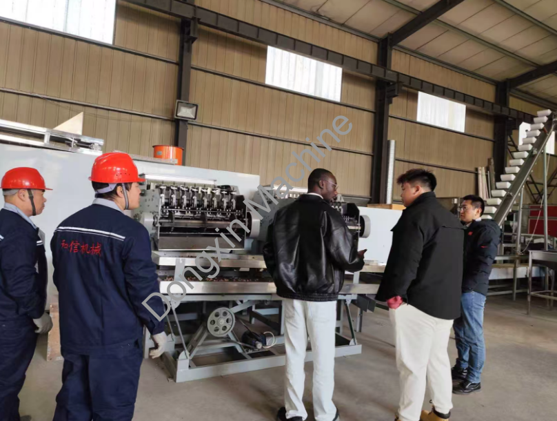 Professional Cashew Shelling Machine Tested by Mali Client | Factory Visit & Processing Demo