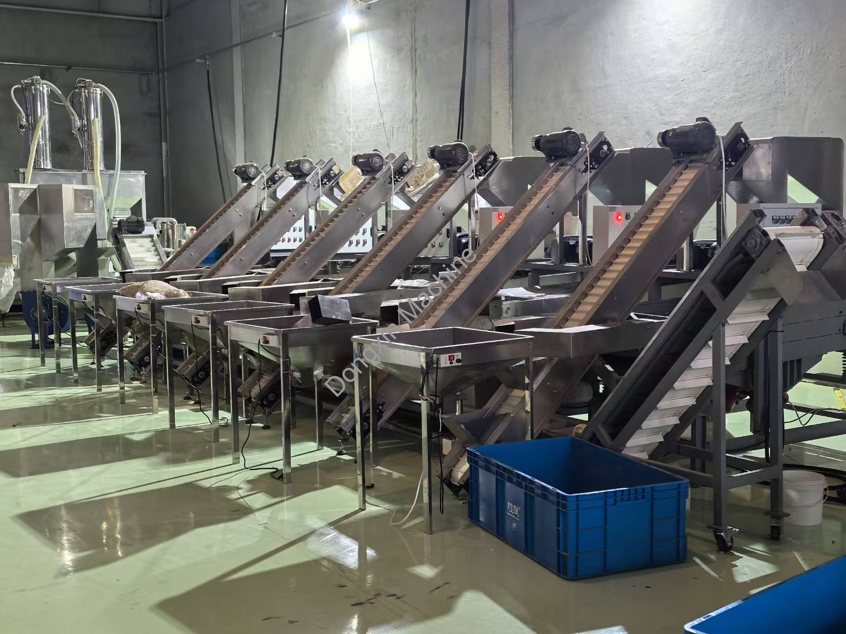 Pistachio Processing Line &ndash; Installed & Commissioned Successfully